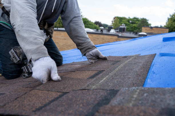 Sheet Metal Roofing in Greenbrier, AR
